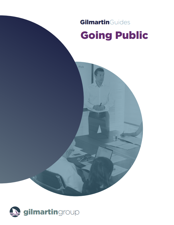 image for Guide to: Going Public