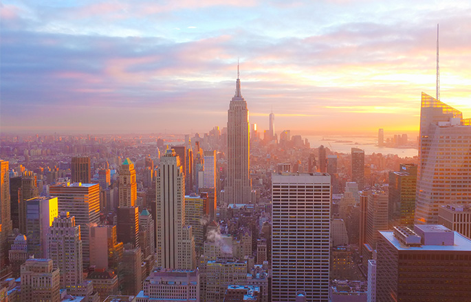 New York City View